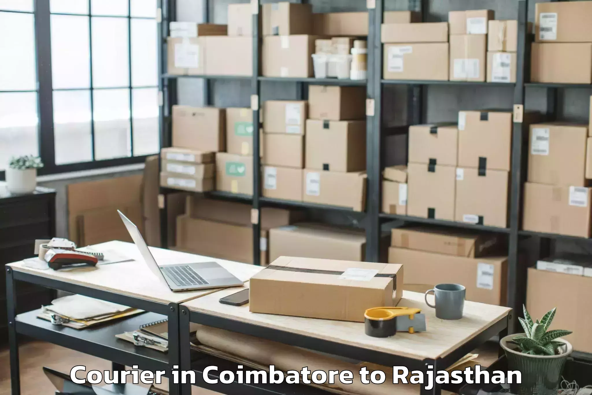 Expert Coimbatore to Bijainagar Courier